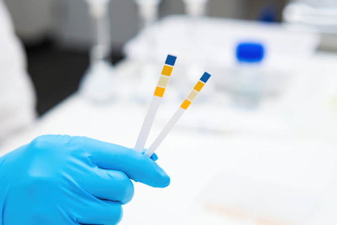 Médico tomando dos tiras para detección de droga.